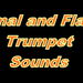 Trumpeter Techniques