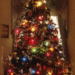 221010-Twinkling-Christmas-Tree