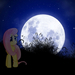 fluttershy and the moon by whitewolwes-dbbil39