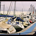 Caorle - 991