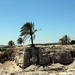 Megiddo vára