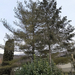 IMG 20241222 144050752