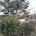 IMG 20241222 144047951