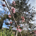 IMG 20250126 131557885 HDR