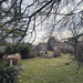 IMG 20250126 131438786 HDR