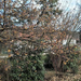 IMG 20250126 131859979