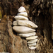 stone balance-driftwood by tamas kanya