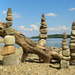 driftwood and stone composition by tamas kanya