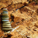 Stones and driftwood by tamas kanya