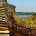 Driftwood and stone balance in hungary by tamas kanya