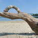 Driftwood hand and stone in hungary by tamas kanya