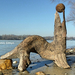 Driftwood art-Seal with ball in Hungary by tamas kanya