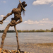 Driftwood art(Michael Jackson)in Hungary by tamas kanya