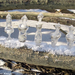 Ice art from Hungary by tamas kanya