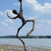 Driftwood art from Hungary by tamas kanya