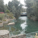 Jézus megkeresztelésének színhelye a Jordán folyón