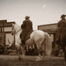 western bemutató a lovasparkban