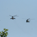 MI helikopter kötelék hungarian air force