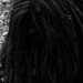 Bob Marley "paróka" ;)