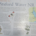 Pittsford Water