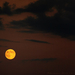 rising moon by vihartancos-d6ew9qa