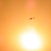 Mentőhelikopter a naplementében