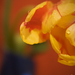 vladstudio springflower 1280x1024