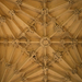 D5 ceiling of the Divinity School