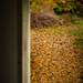 ablak az őszre