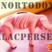 unortodox malacpersely vincent