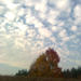 Őszi bárányfelhők