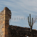 Apozol, Zacatecas-kaktusz