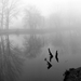 Ibolya tó a ködben