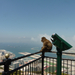 Gibraltar, Katamaran hajokazas hatodik nap (96)