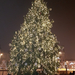 Karácsonyfa Debrecen főterén