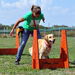 Flyball szemi (223)