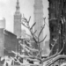 1914-New-York-Alfred-Stieglitz