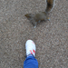 with squirrel