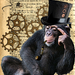 csimpanz steampunk