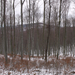 1501010094 Tábor-hegy is látható télen, a Stájer-házakhoz vezető