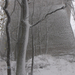 DSCF0041 Novemberi tél a Kőszegi-hegyen