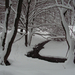 2007.11.18_Farkasgyepű - Odvaskő túra nagy novemberi hóban