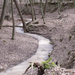 DSCF0206 Fenyves-patak által vájt árok a csepregi erdőben