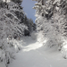 IMG 6054 Csodálatos havas-deres erdő 800 m felett