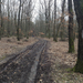 IMG 6873 Doroszlói-erdőben az utolsó km-en