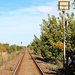 ZS20 054 Bajmok