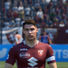 Torino Belotti