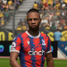 Crystal Palace Clyne