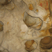Pálvölgyi Cseppkőbarlang 2007 039