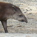 ZOO GYŐR